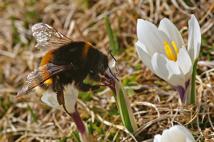 Bilder aktuell / Foto: Fritz Bieri