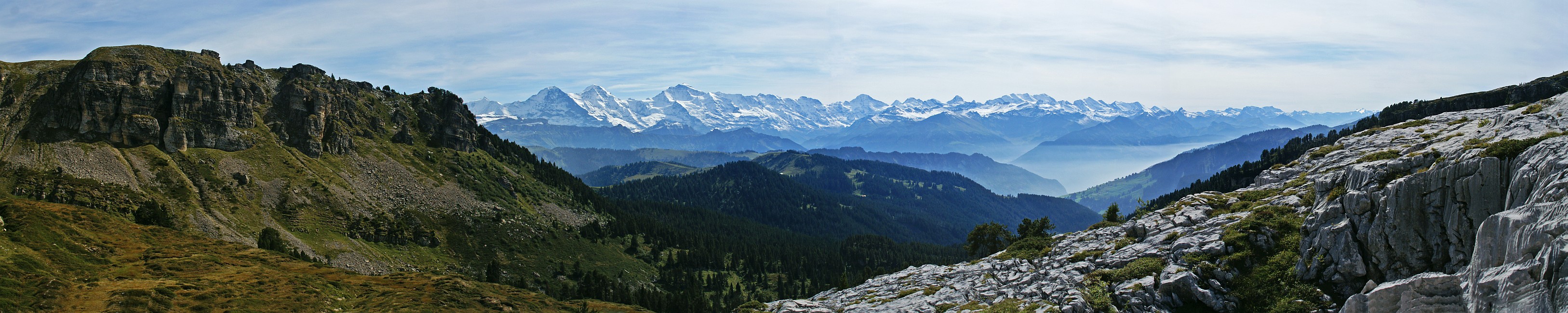 « zurück / Foto: F.Bieri