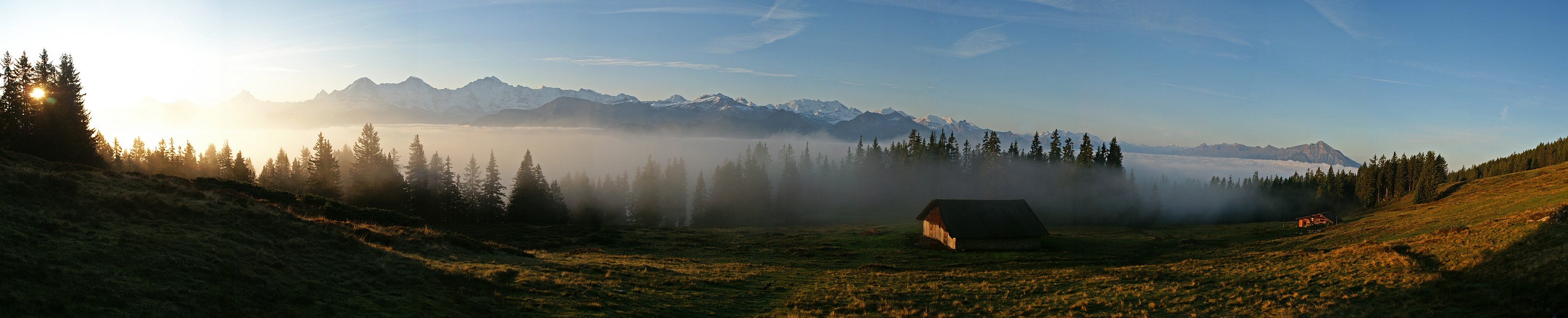 « zurück / Foto: F.Bieri