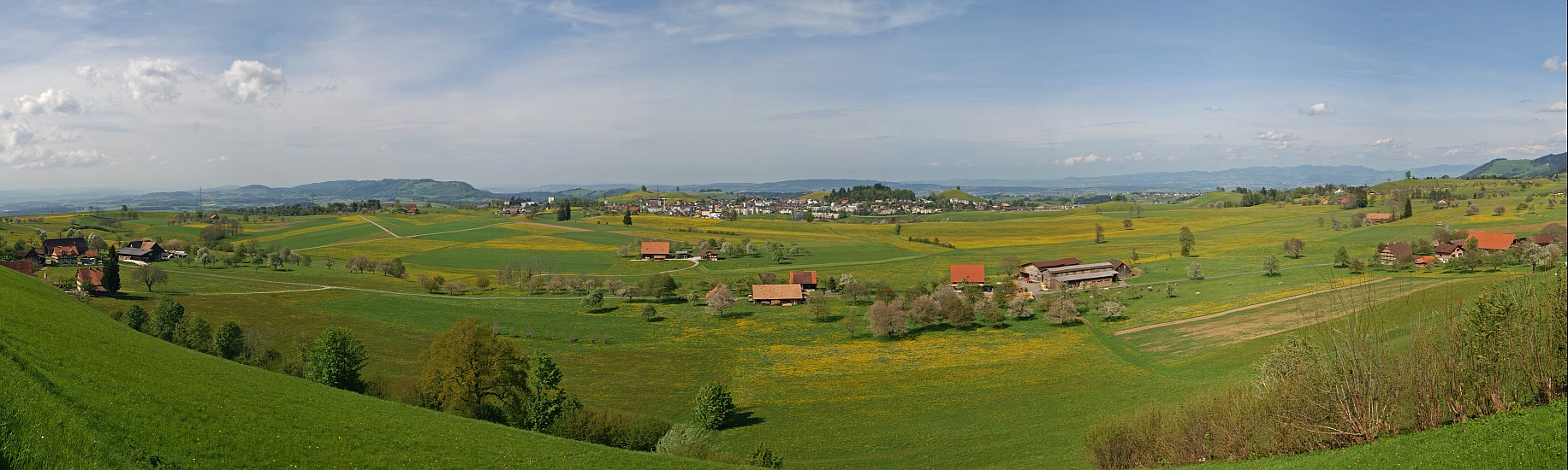 « zurück / Foto: F.Bieri