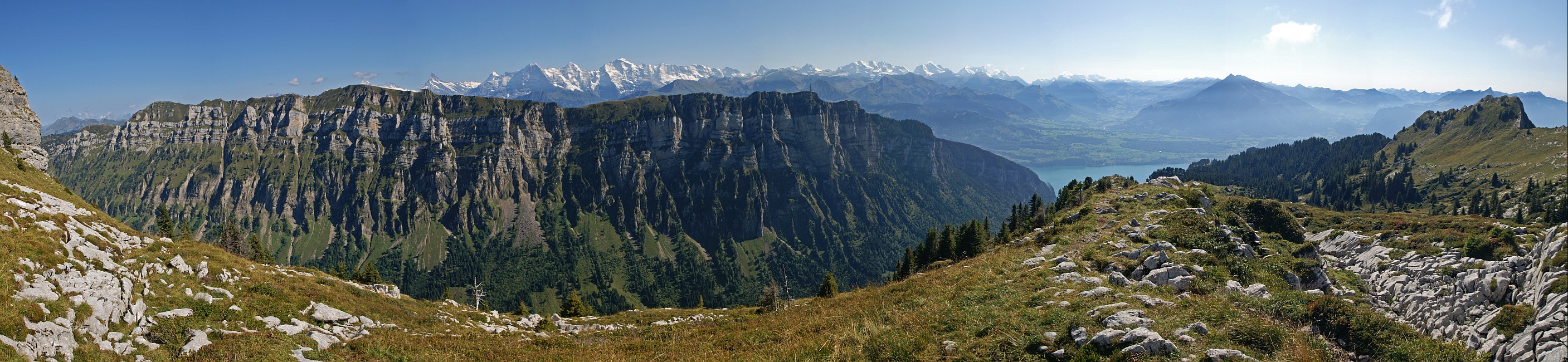 « zurück / Foto: F.Bieri