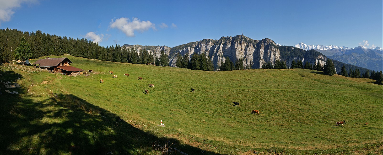 « zurück / Foto: F.Bieri