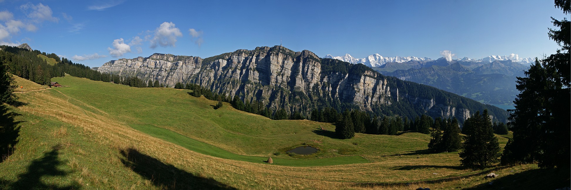 « zurück / Foto: F.Bieri