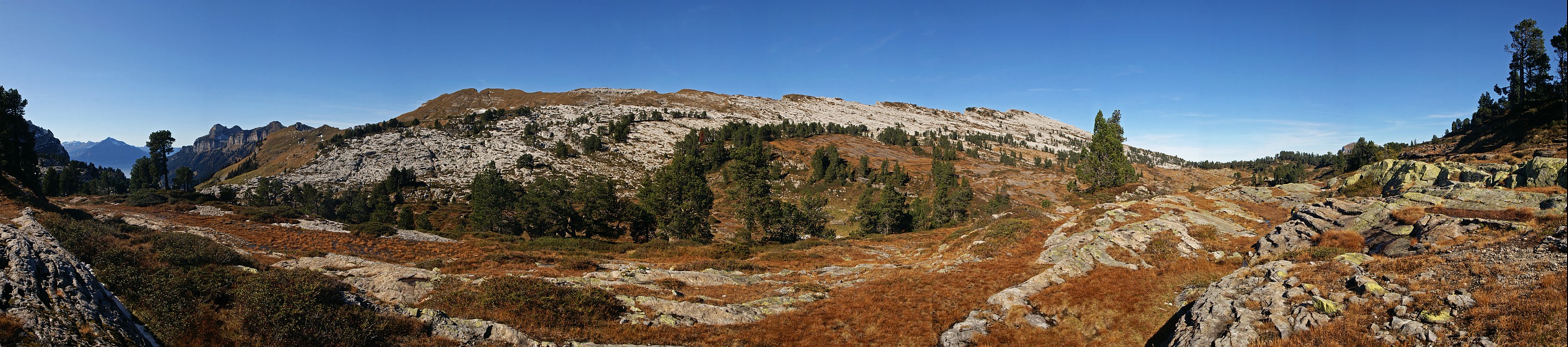 « zurück / Foto: F.Bieri