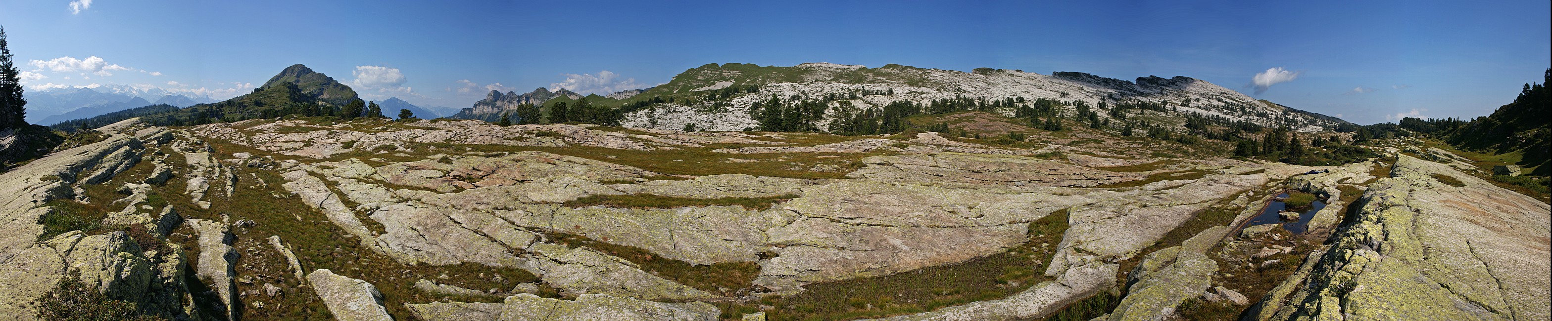 « zurück / Foto: F.Bieri