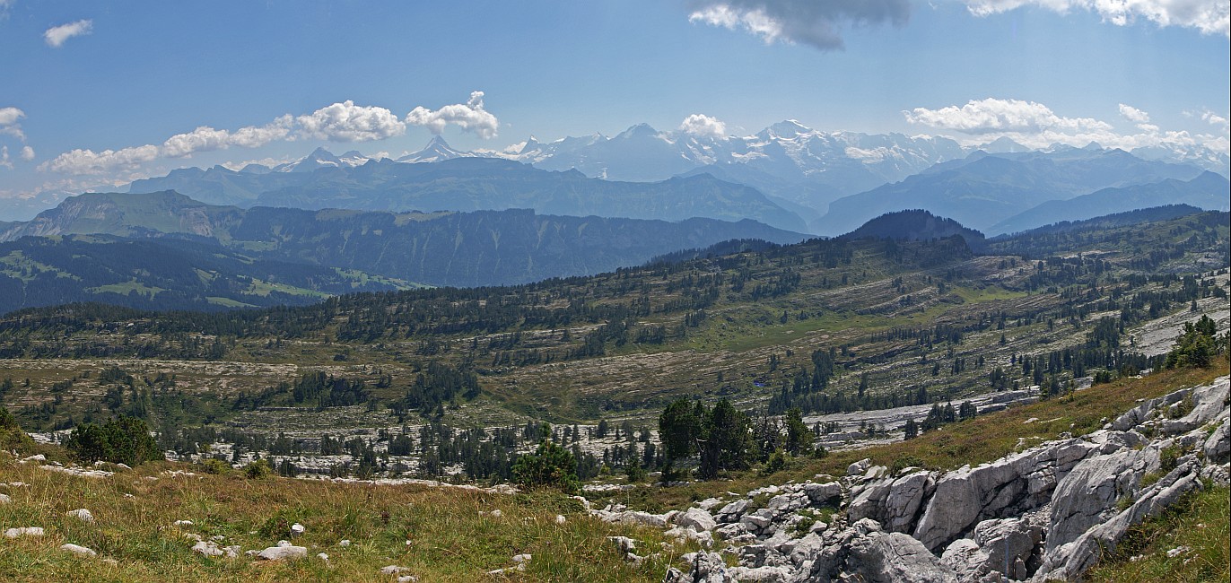 « zurück / Foto: F.Bieri