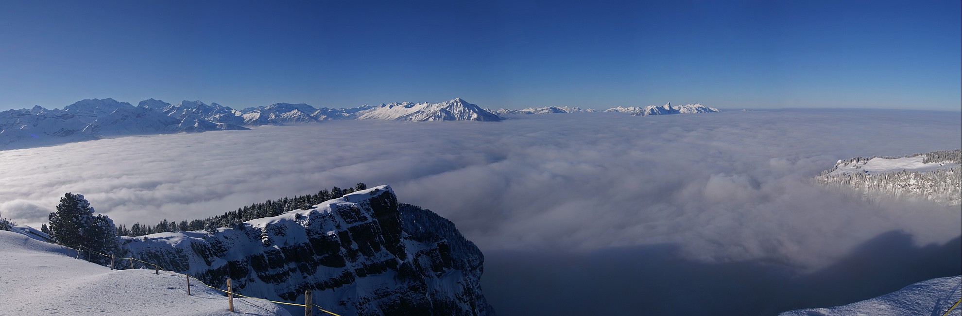 « zurück / Foto: F.Bieri