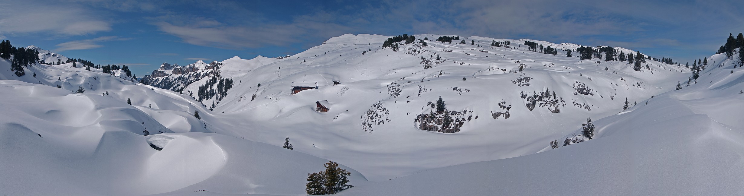 « zurück / Foto: F.Bieri