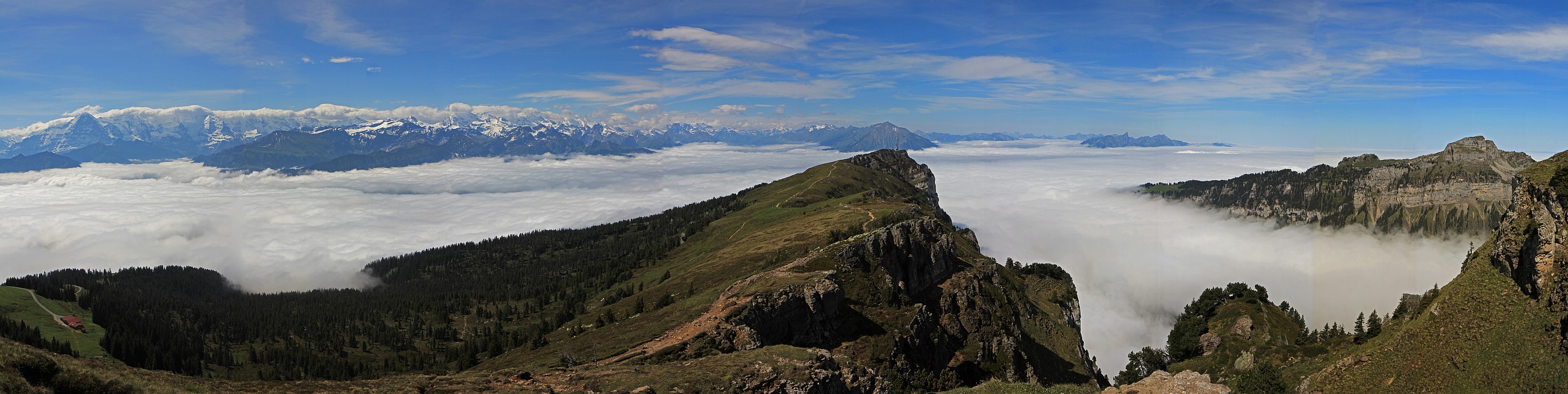 « zurück / Foto: F.Bieri