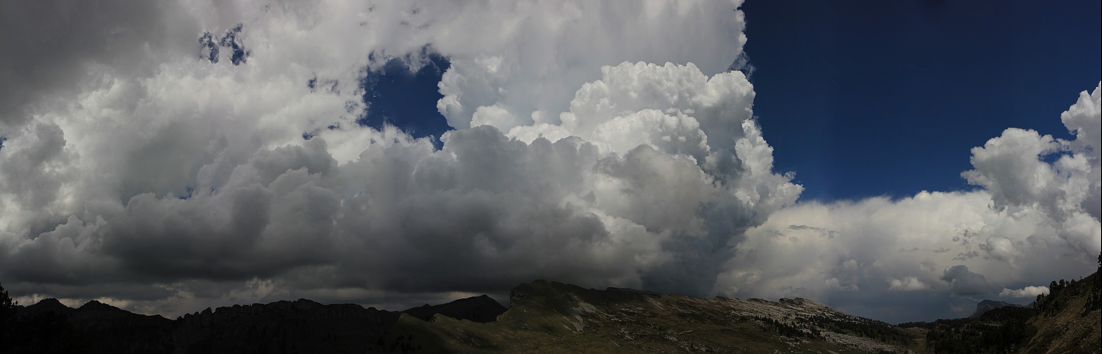 « zurück / Foto: F.Bieri