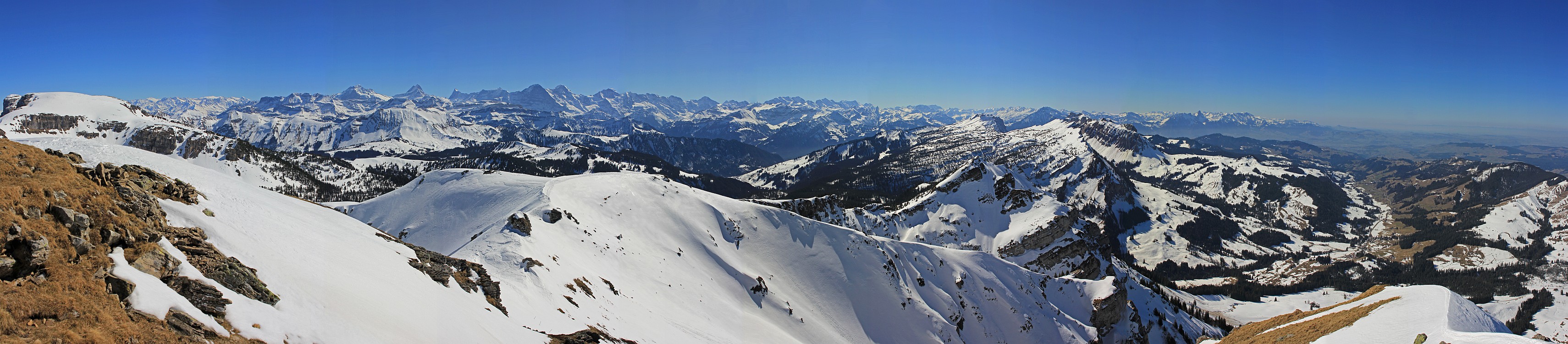 « zurück / Foto: F.Bieri