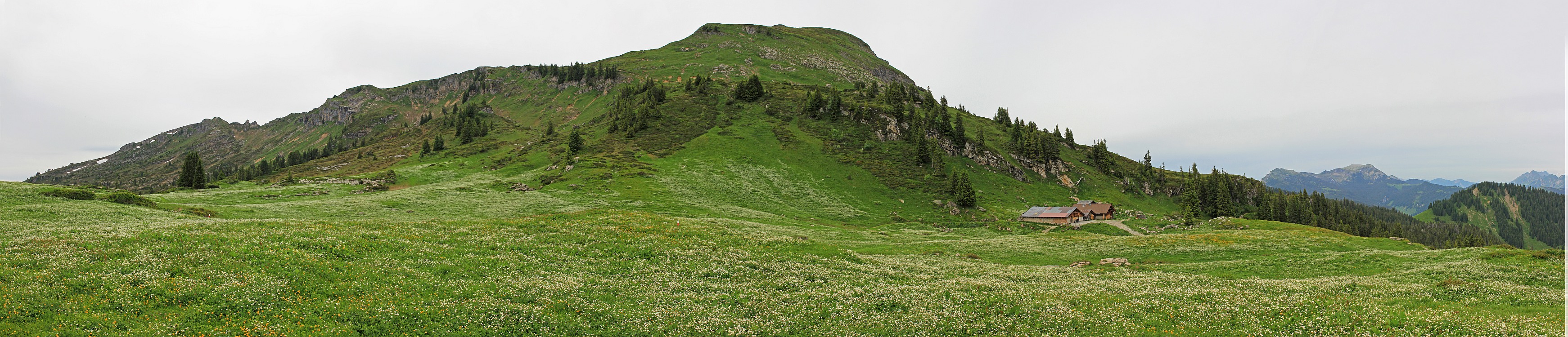 « zurück / Foto: F.Bieri