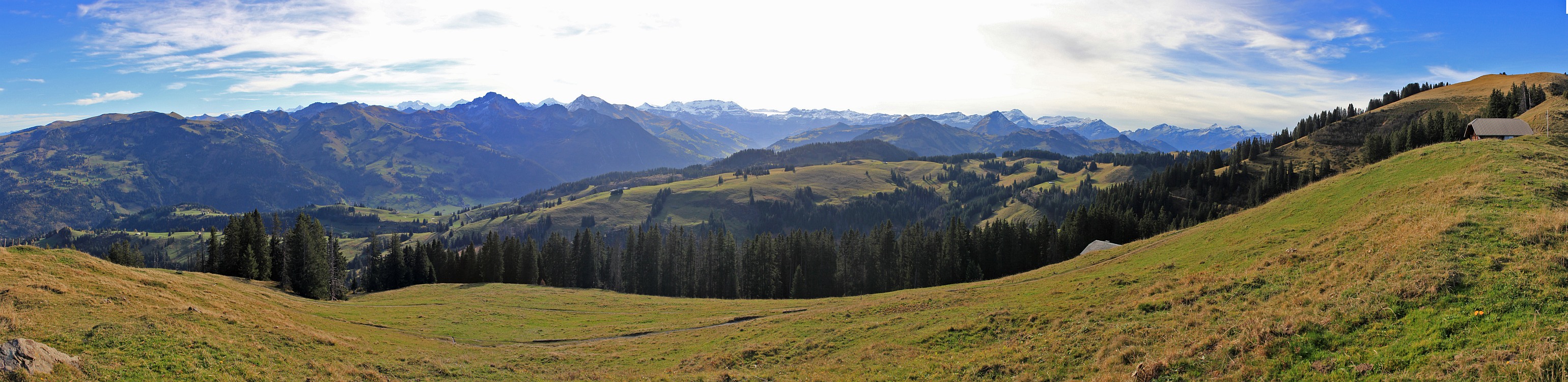 « zurück / Foto: F.Bieri