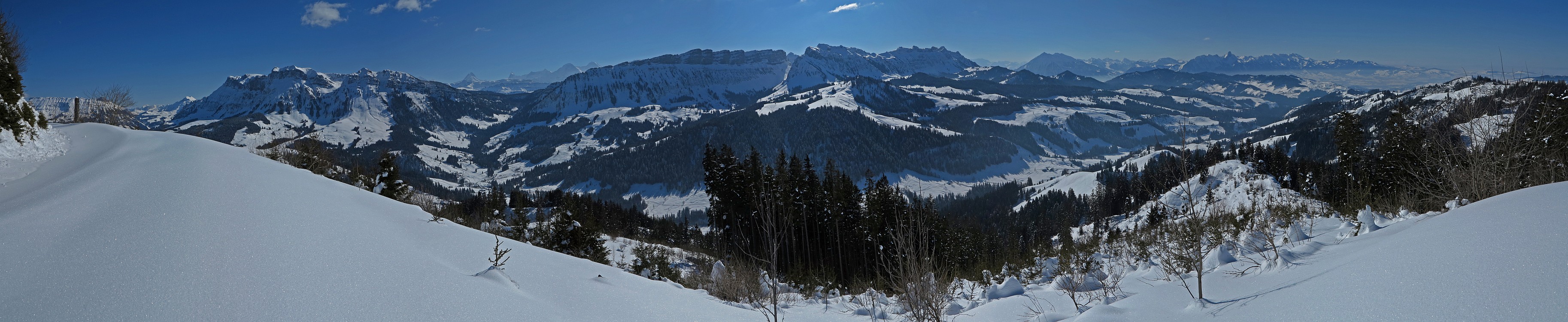 « zurück / Foto: F.Bieri