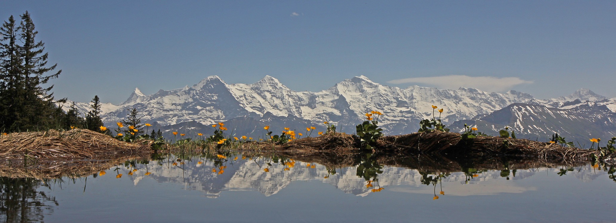 « zurück / Foto: F.Bieri