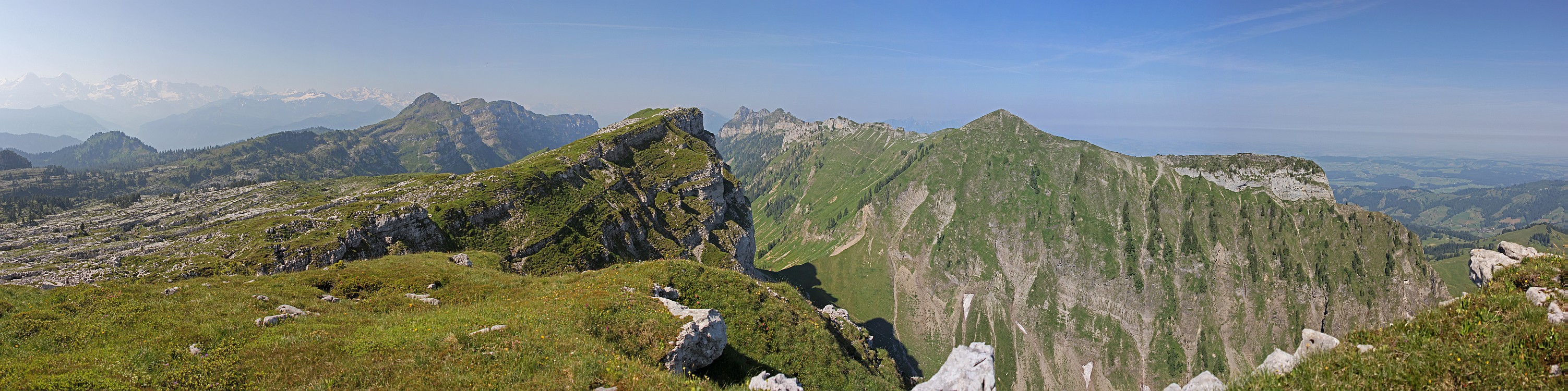 « zurück / Foto: F.Bieri