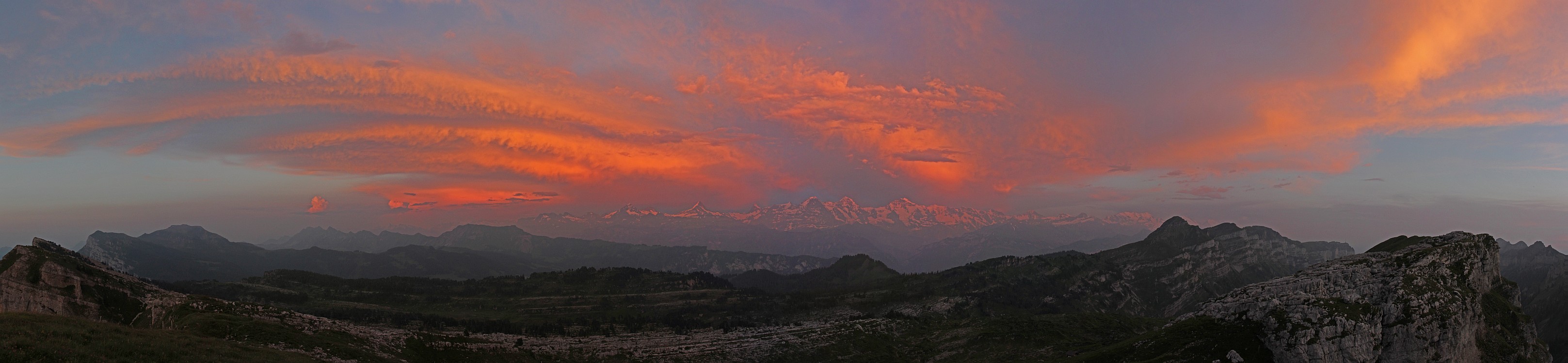 « zurück / Foto: F.Bieri