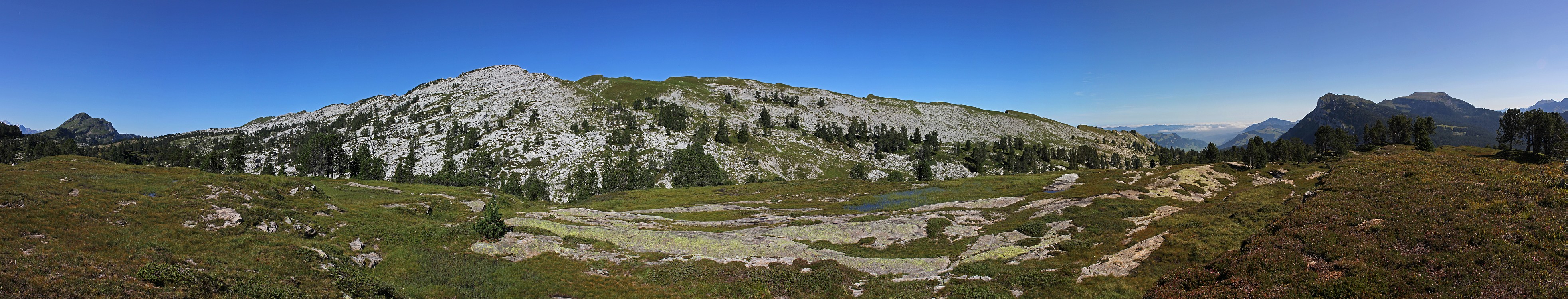 « zurück / Foto: F.Bieri