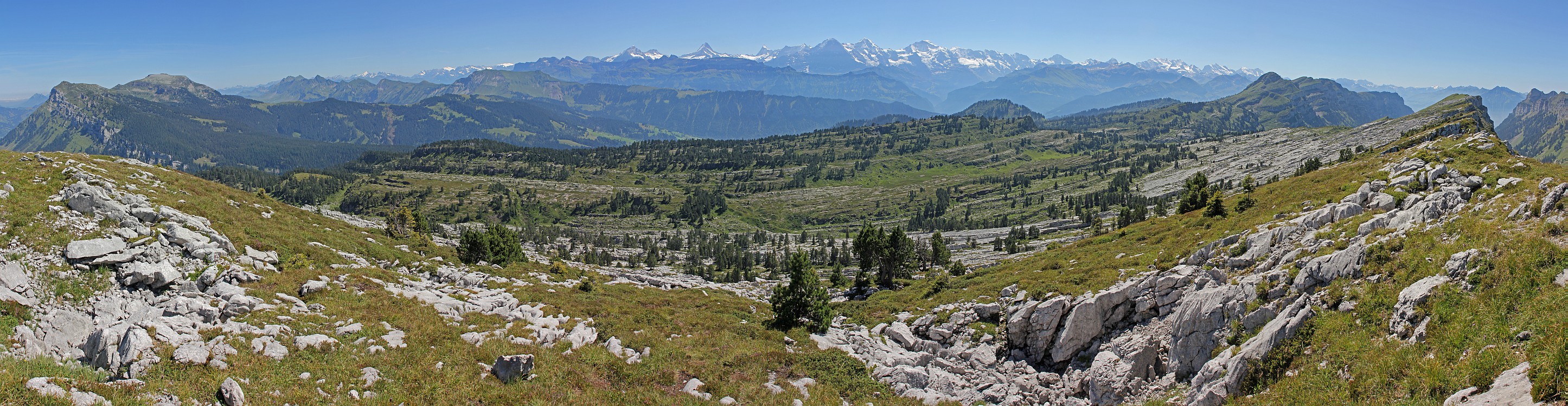 « zurück / Foto: F.Bieri