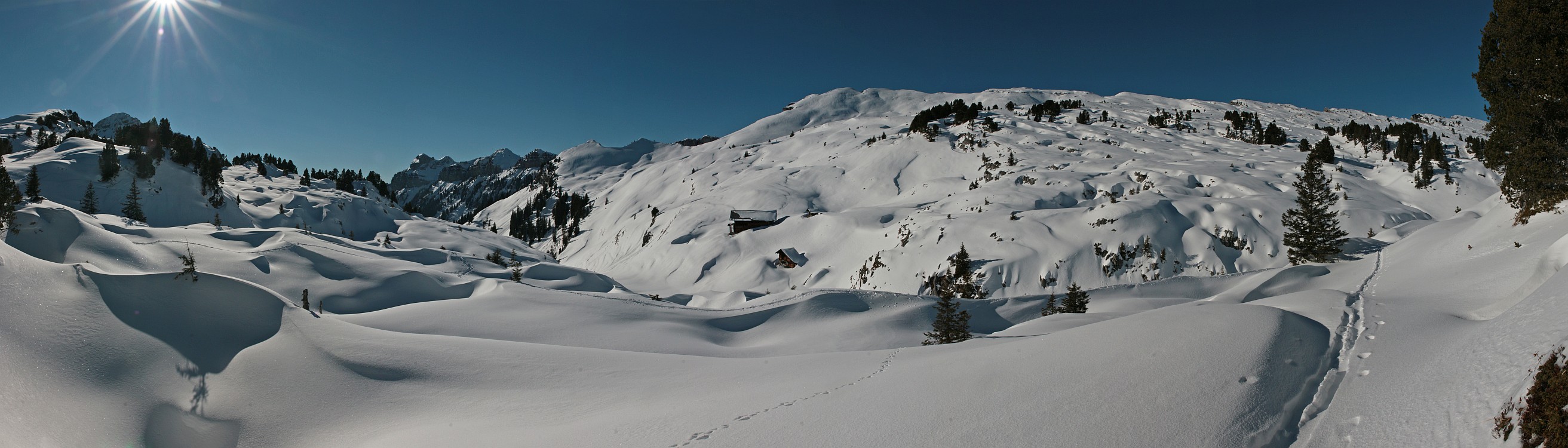 « zurück / Foto: F.Bieri