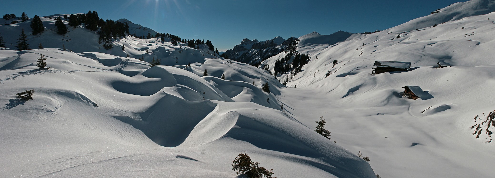 « zurück / Foto: F.Bieri