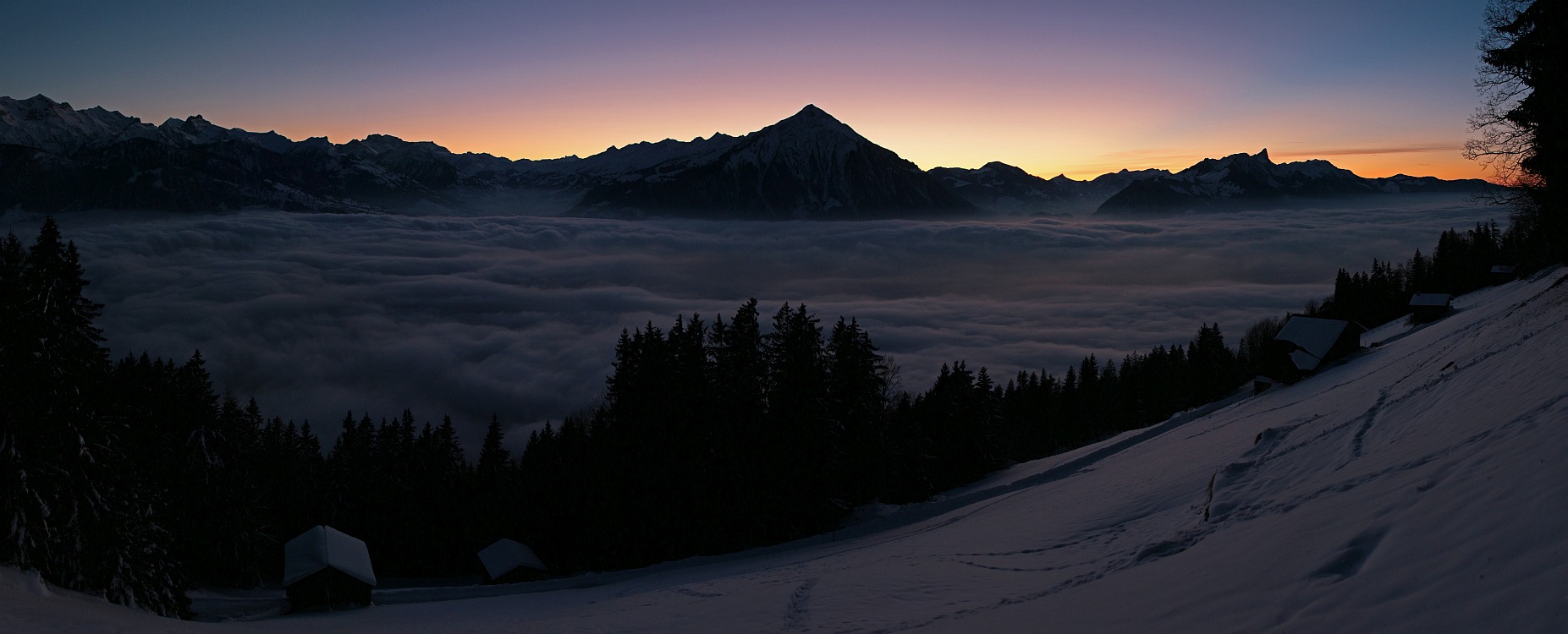 « zurück / Foto: F.Bieri