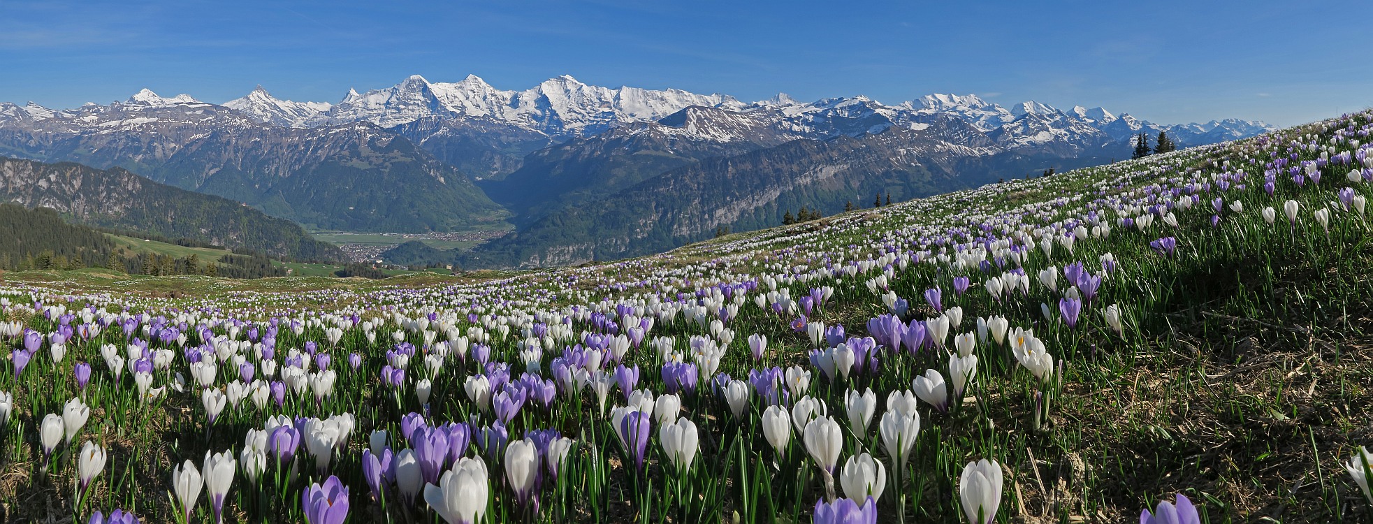 « zurück / Foto: F.Bieri