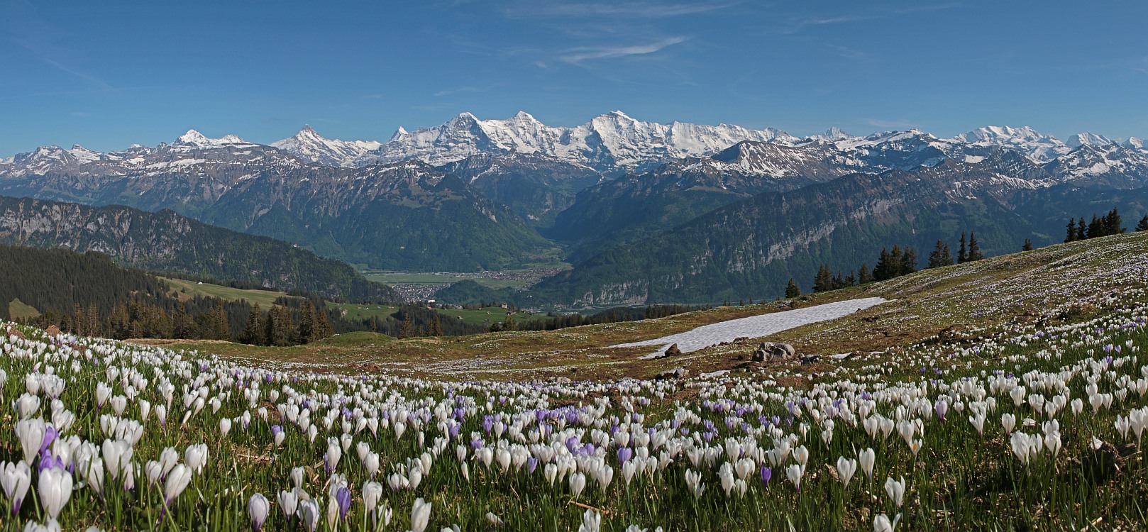 « zurück / Foto: F.Bieri