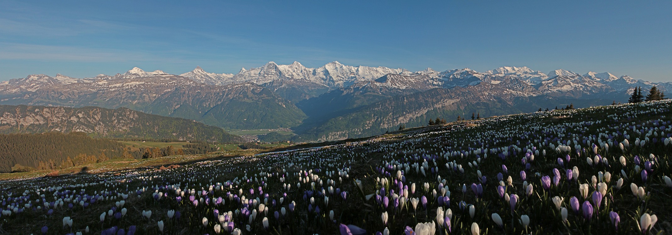 « zurück / Foto: F.Bieri