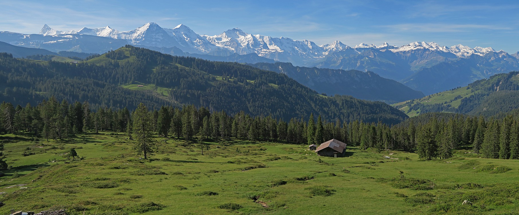 « zurück / Foto: F.Bieri