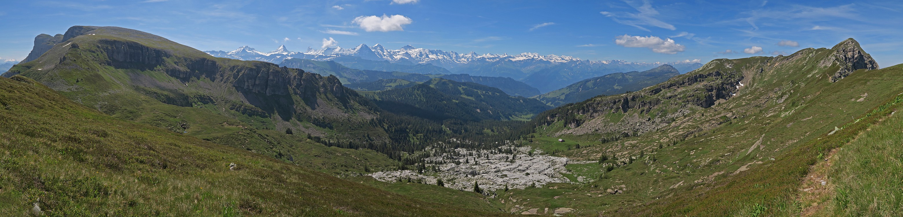 « zurück / Foto: F.Bieri