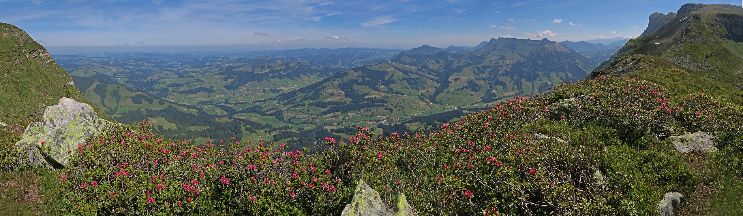 « zurück / Foto: F.Bieri