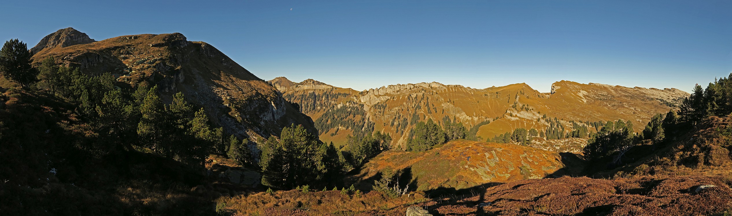 « zurück / Foto: F.Bieri