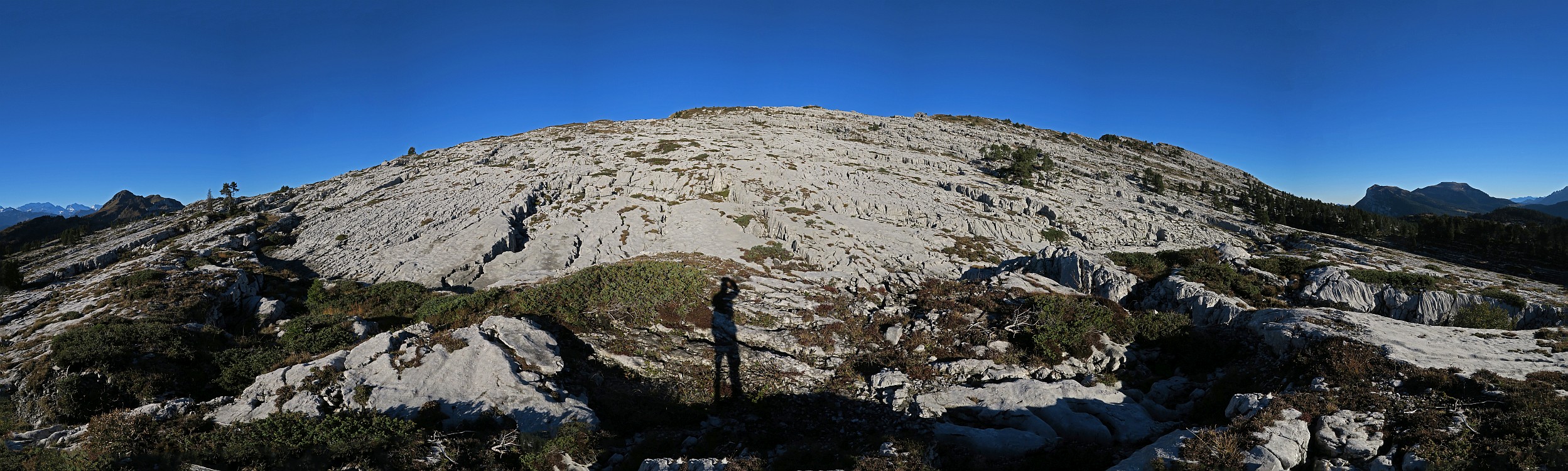 « zurück / Foto: F.Bieri