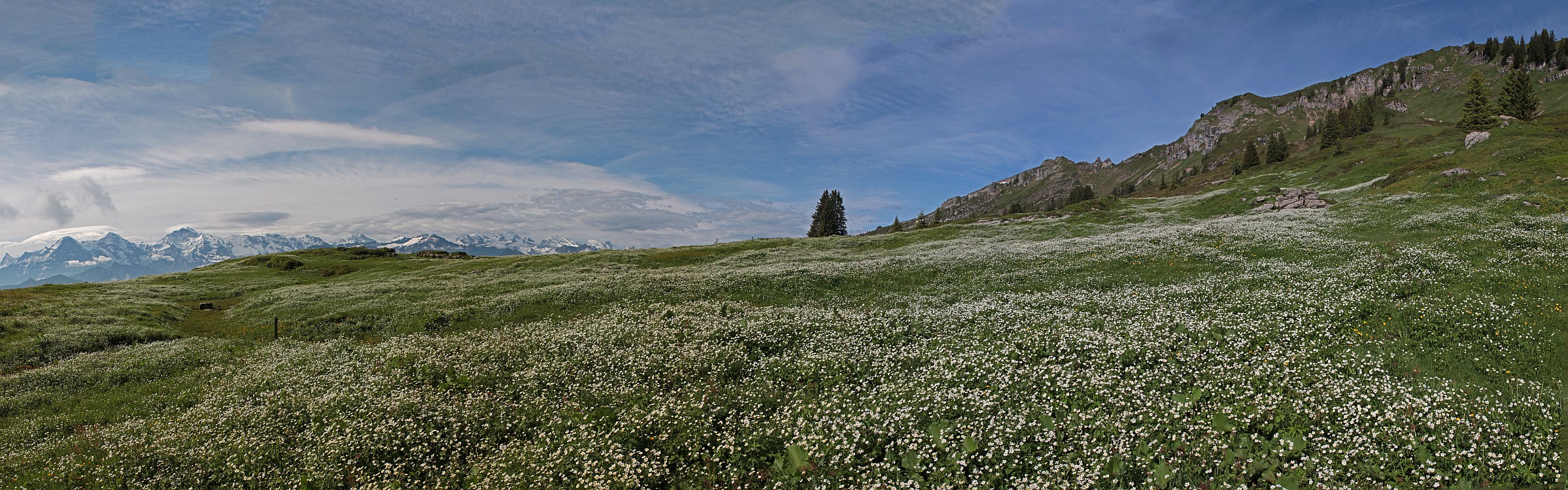 « zurück / Foto: F.Bieri