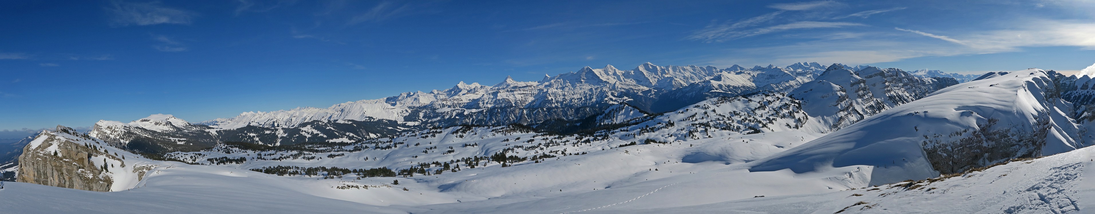 « zurück / Foto: F.Bieri