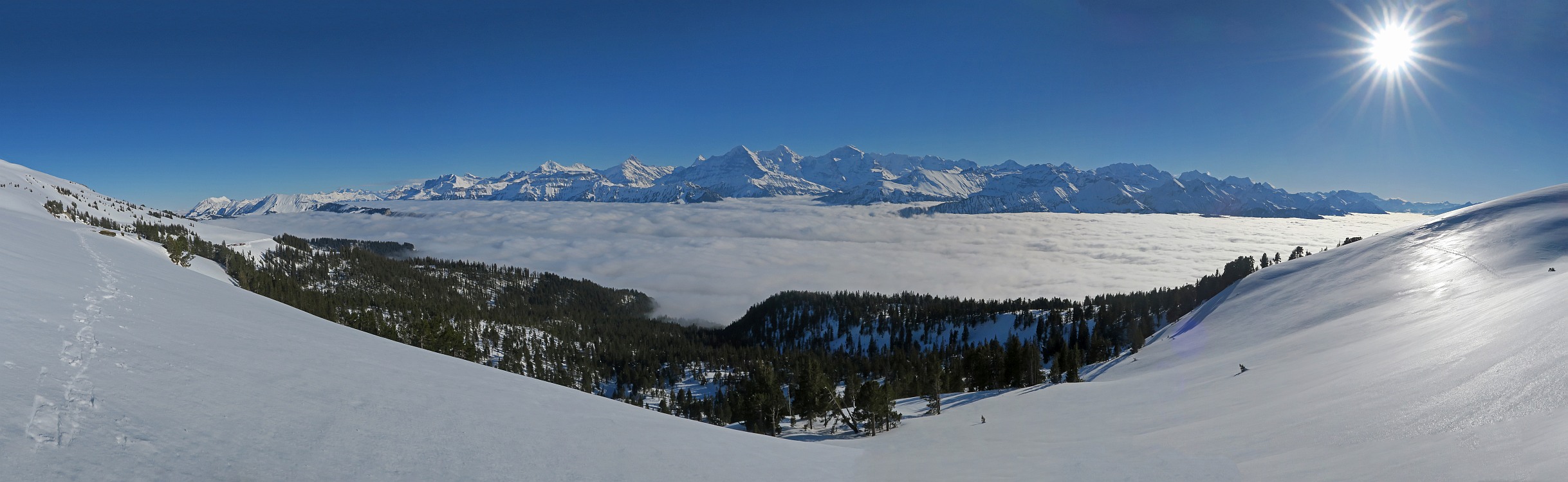 « zurück / Foto: F.Bieri