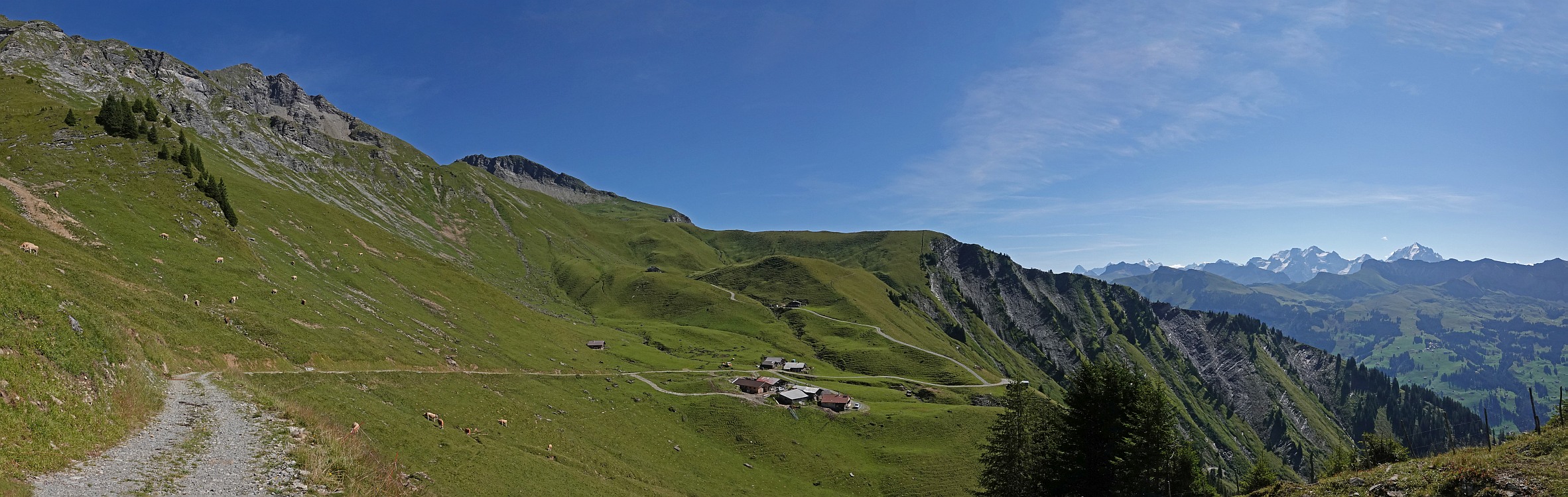 « zurück / Foto: F.Bieri