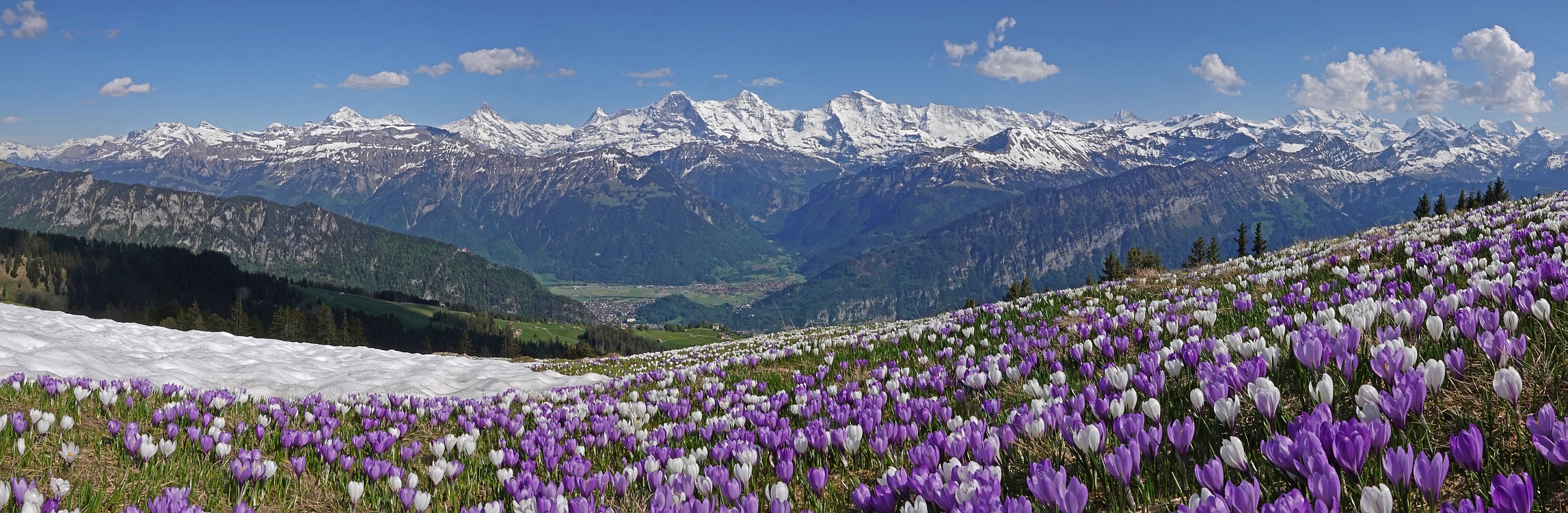 « zurück / Foto: F.Bieri