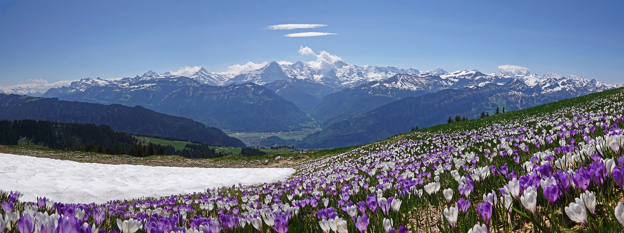 « zurück / Foto: F.Bieri