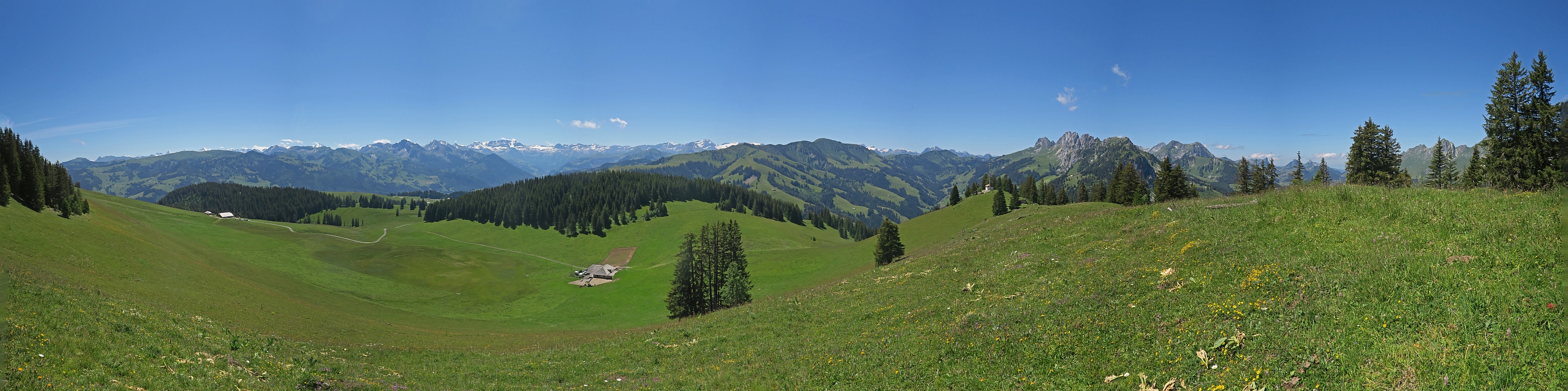 « zurück / Foto: F.Bieri