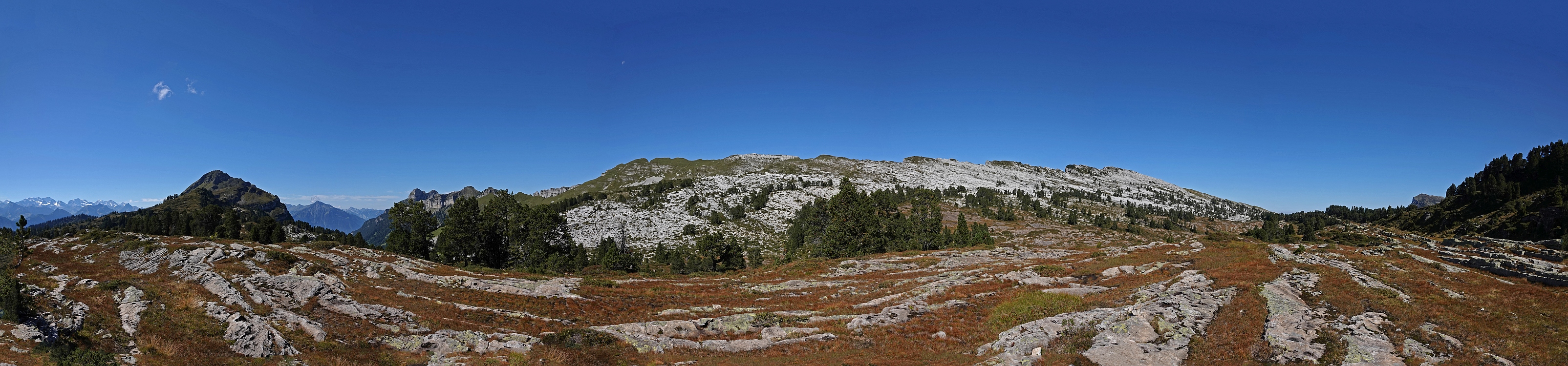 « zurück / Foto: F.Bieri