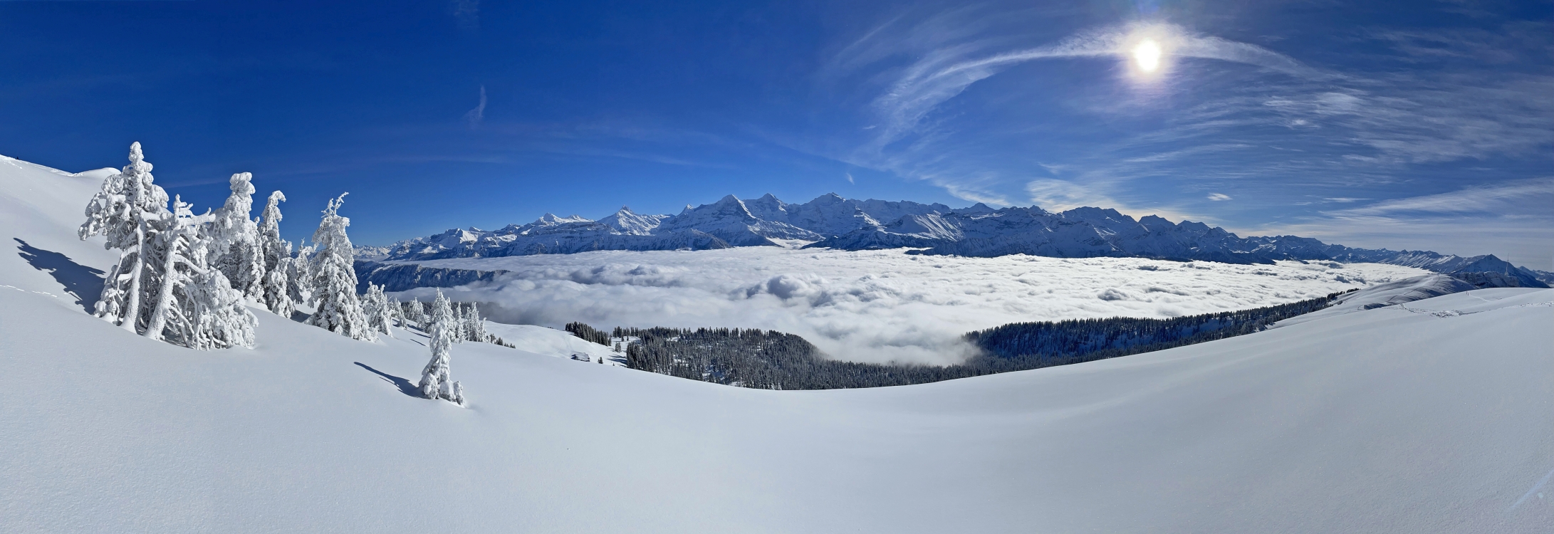 « zurück / Foto: F.Bieri