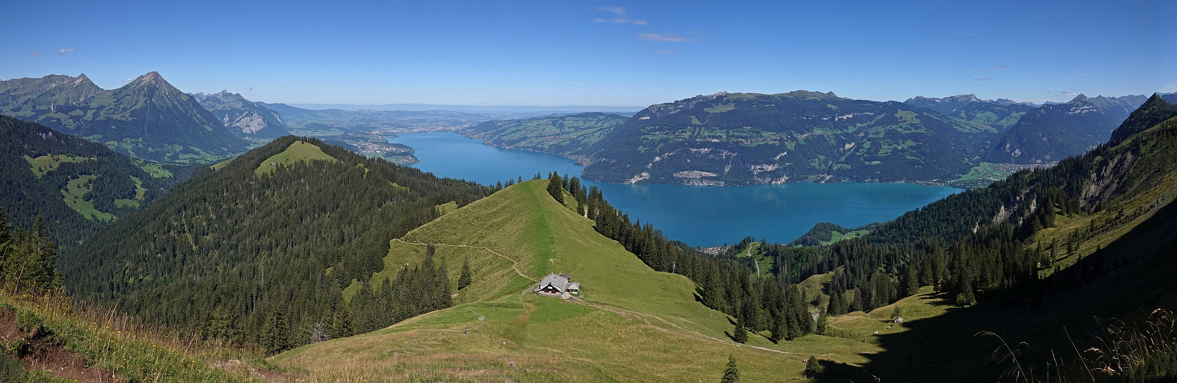 « zurück / Foto: F.Bieri