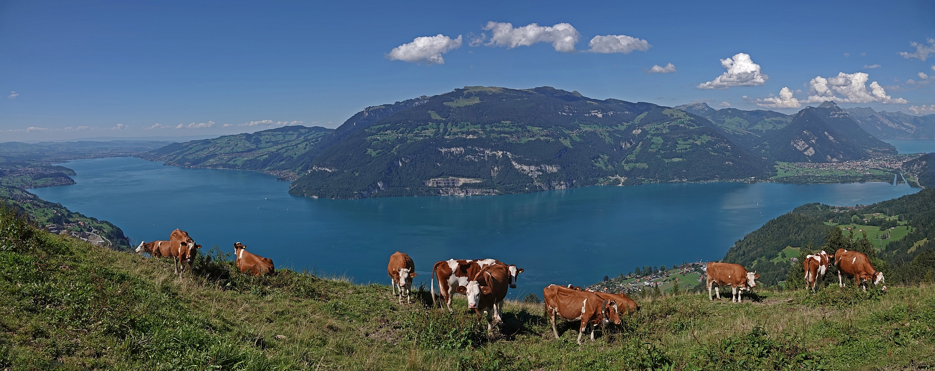 « zurück / Foto: F.Bieri