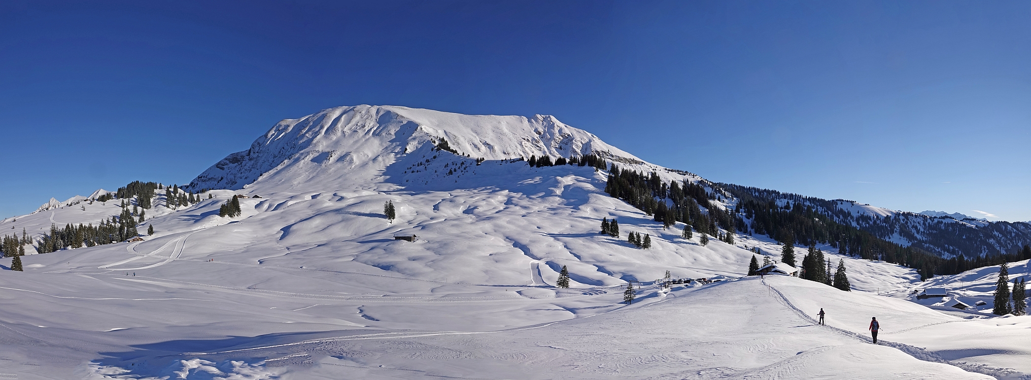 « zurück / Foto: F.Bieri