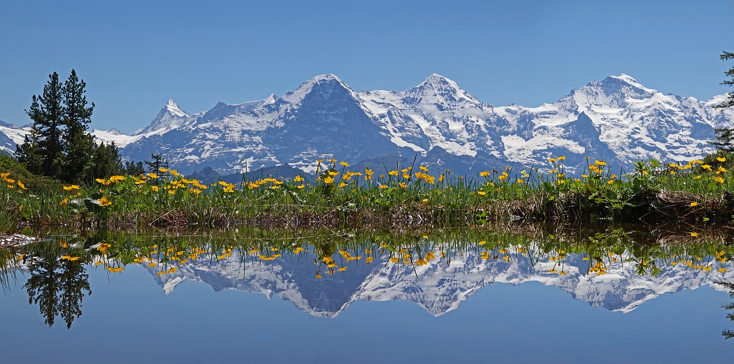 « zurück / Foto: F.Bieri