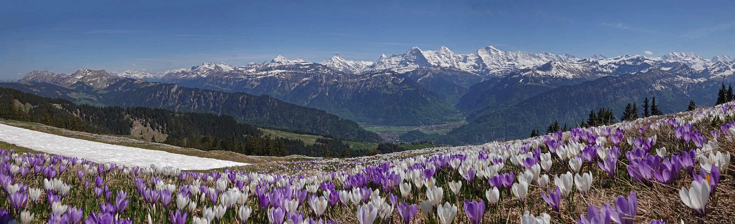 « zurück / Foto: F.Bieri