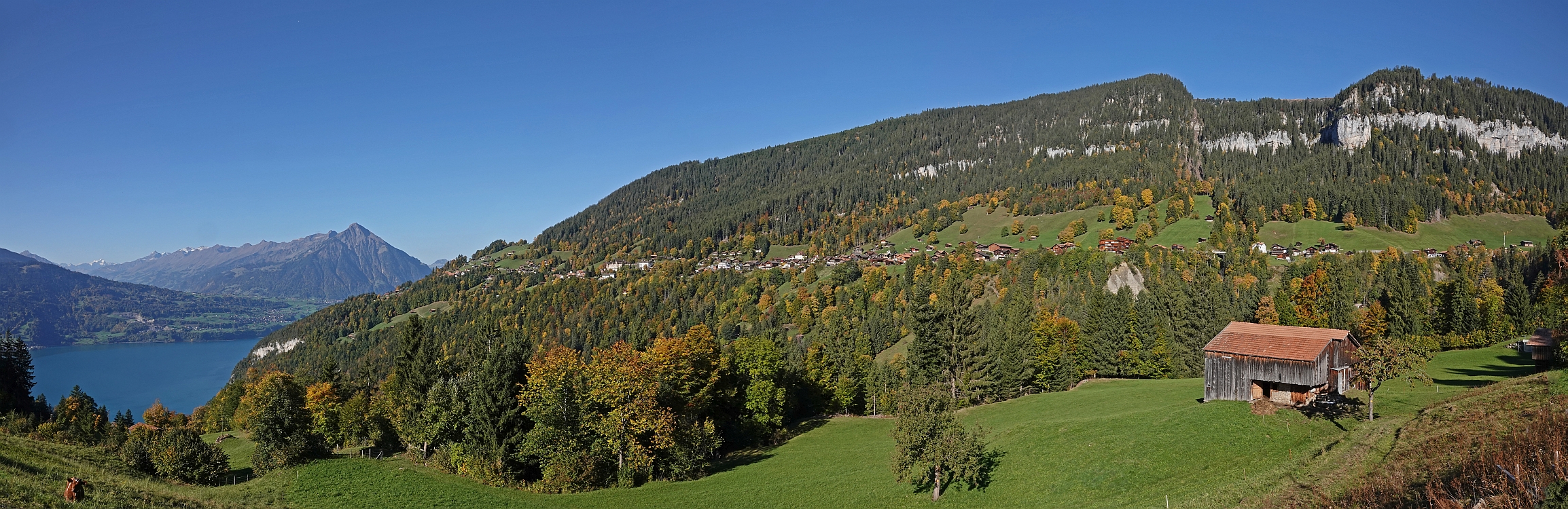 « zurück / Foto: F.Bieri