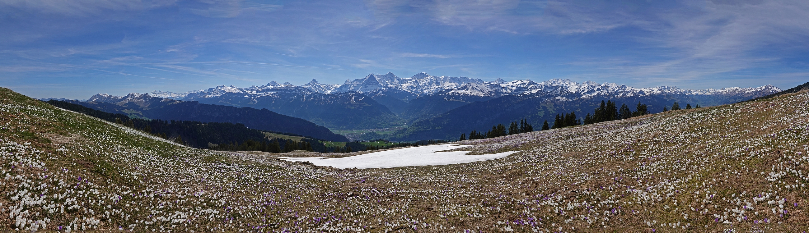 « zurück / Foto: F.Bieri